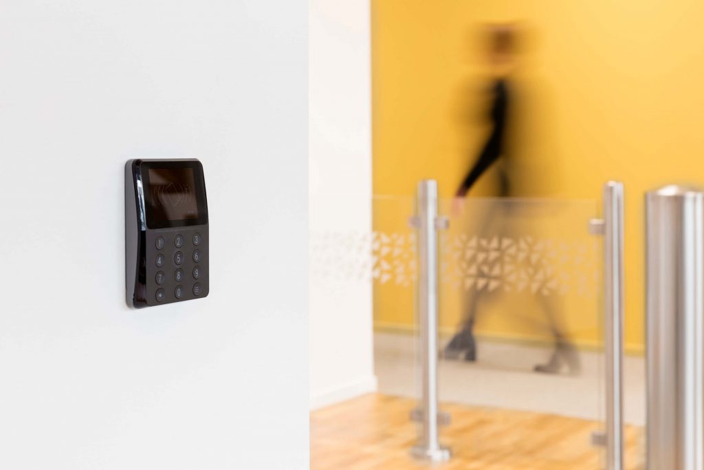 kortlsare-milj-grind-och-gul-vgg